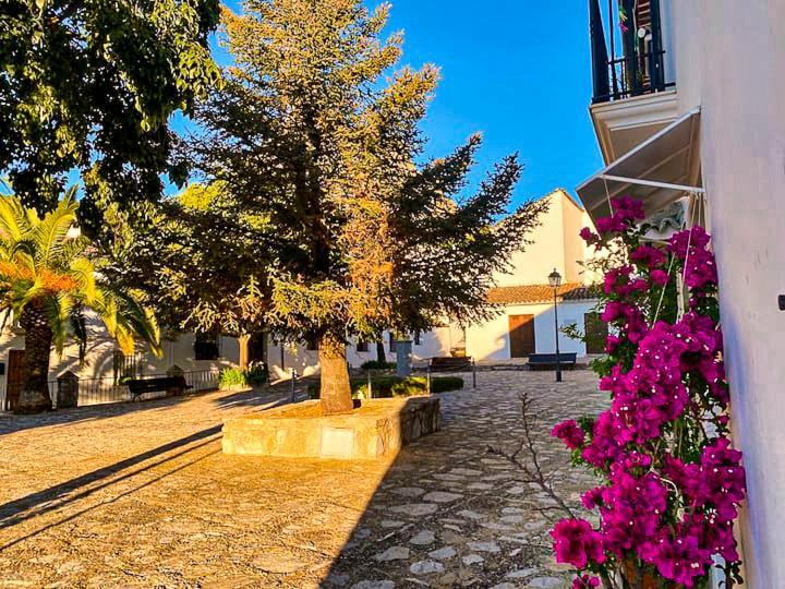 Villa Grazalema - Casita La Calma - Increibles vistas, Climatización Frio-Calor, Wifi, Parking Exterior foto